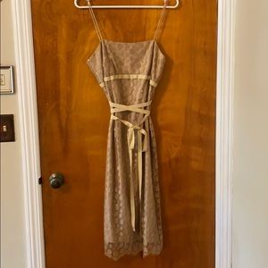 J.Crew | Champagne lace knee-length cami dress 🥂